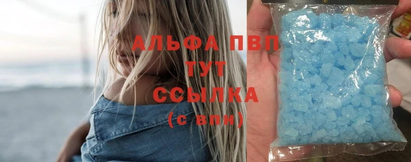 сатива Лихославль