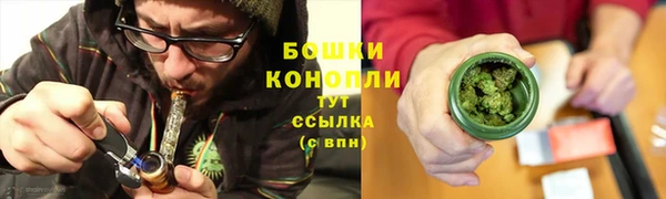 индика Липки