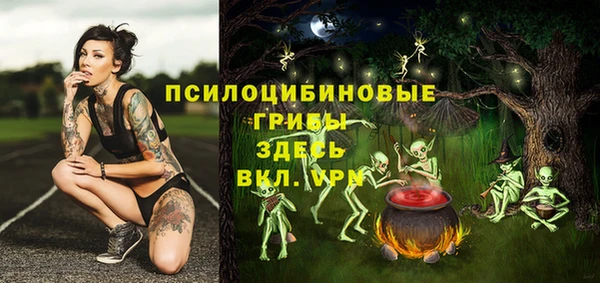 сатива Лихославль