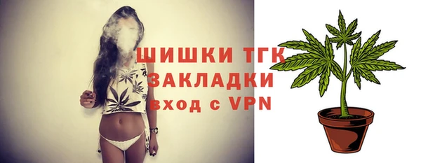 индика Липки
