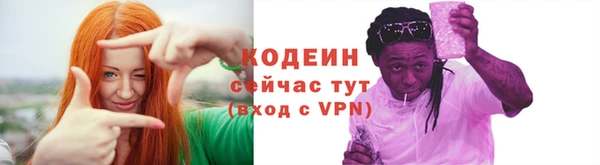 индика Липки