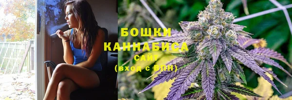 индика Липки