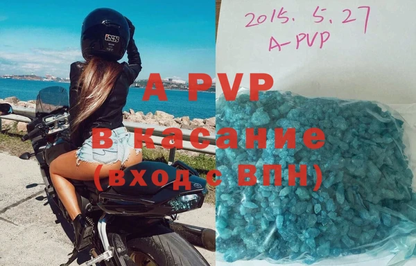 прущие крисы Магас