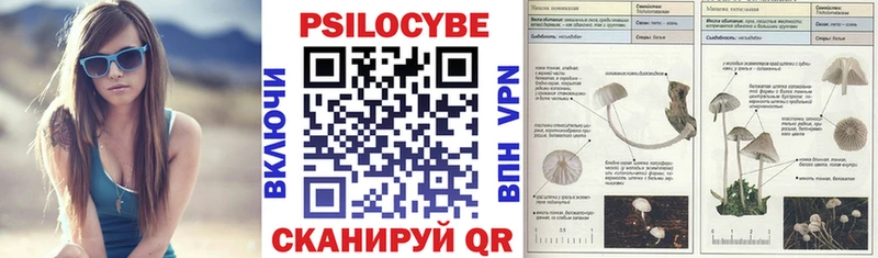 где купить   Называевск  Псилоцибиновые грибы мухоморы 
